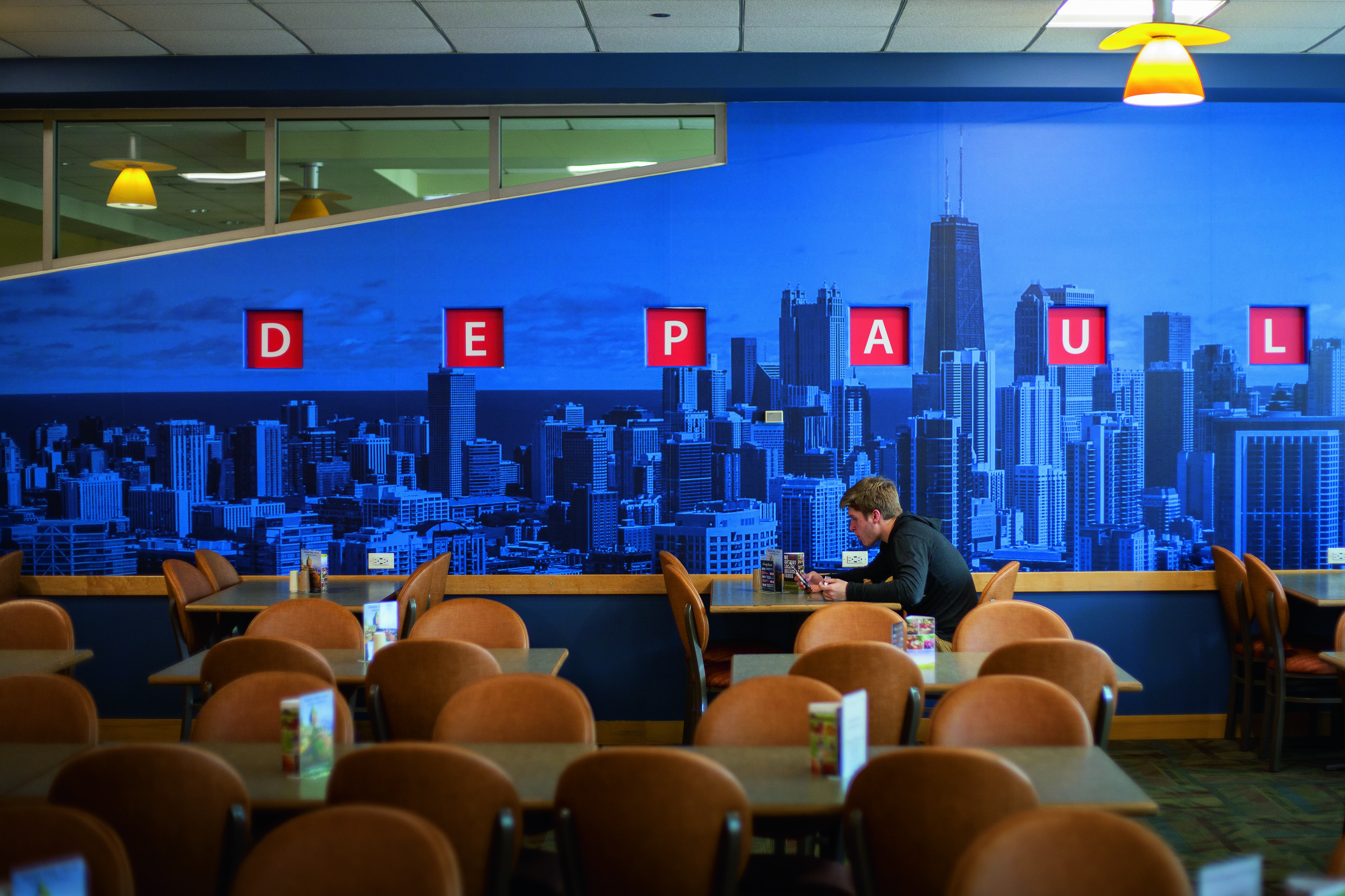 DEPAUL UNIVERSITY